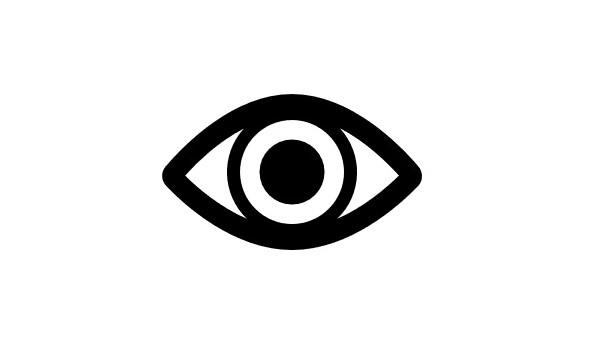 VISION